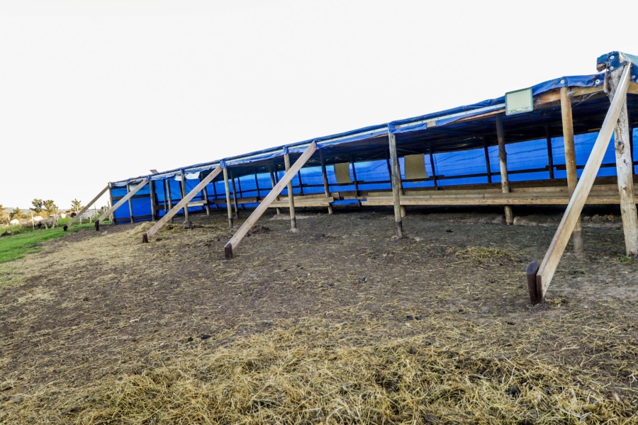 Commercial Property for Sale in Rondevlei Western Cape